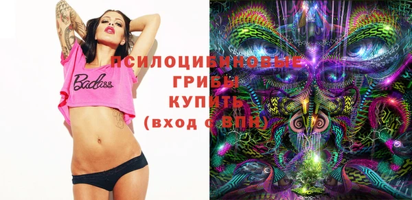 спиды Абинск