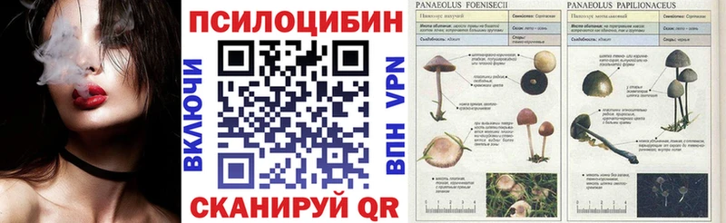 Галлюциногенные грибы мухоморы Вичуга
